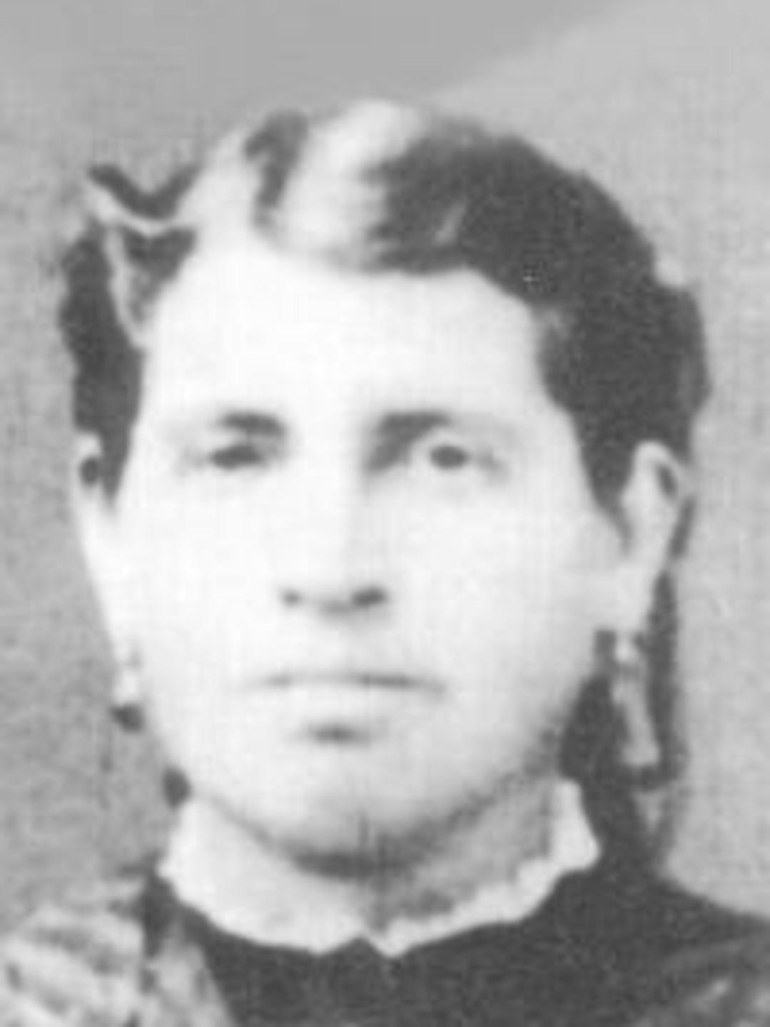 Julia Ann Hillock (1841 - 1911) Profile